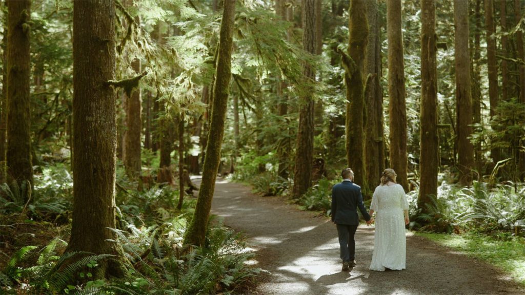 landscape scenic shot of newly eloped couple shot by Oregon elopement videographer, Alesia Films