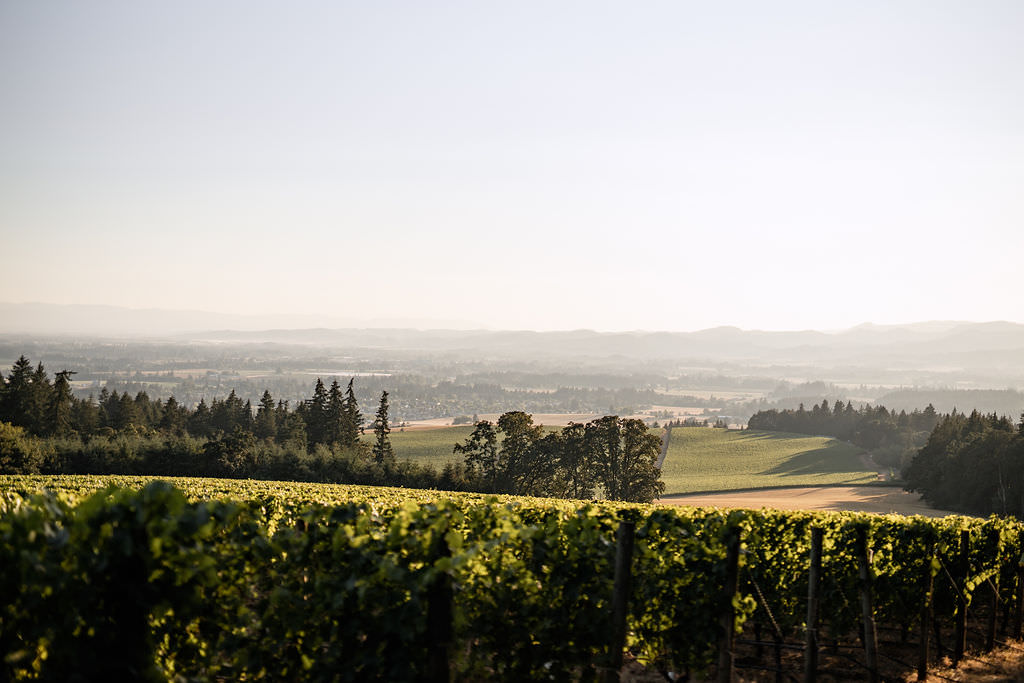 vineyard and winery overlooking Dayton, Oregon