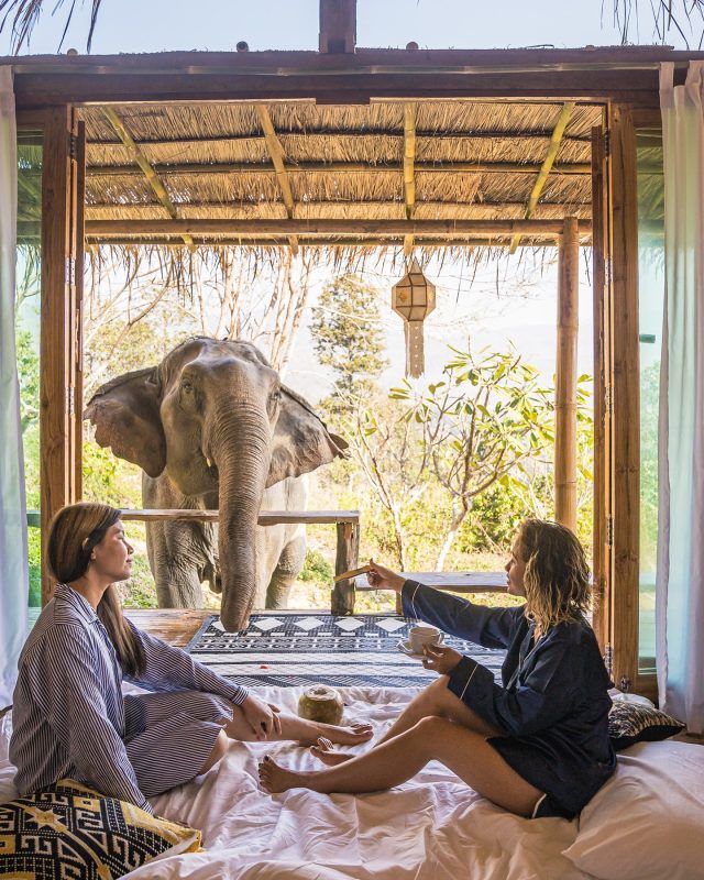 elephant hotel