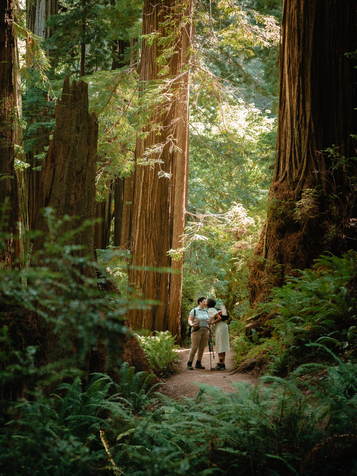 Brookings + Redwoods National Park Elopement | Sabrina & April