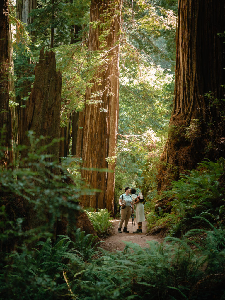 two women kissing in redwood forest