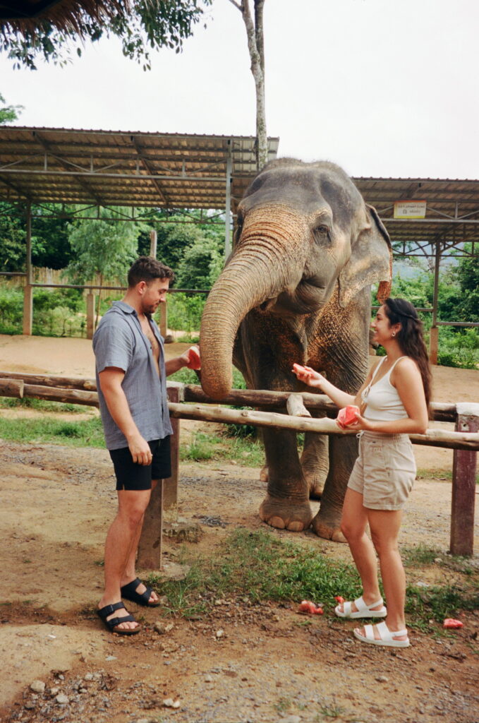 thailand elopement with elephants