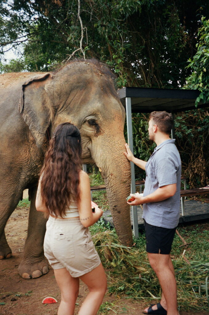 thailand elopement with elephants