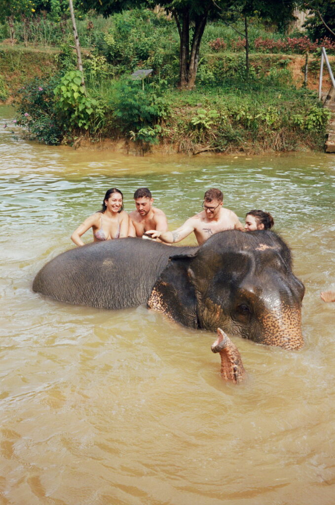 thailand elopement with elephants