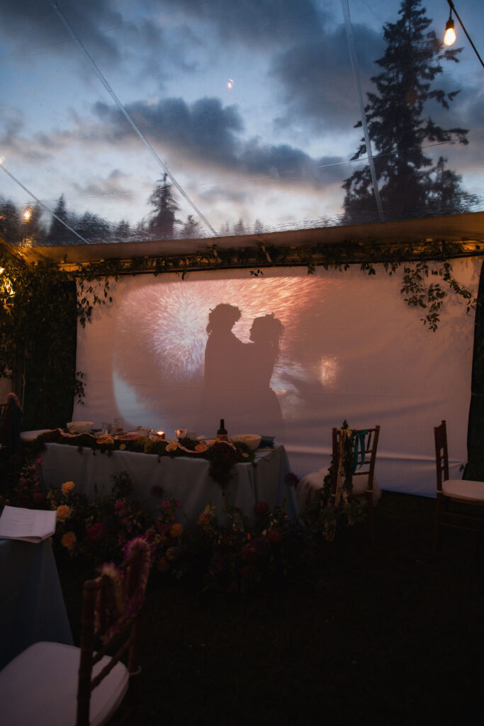 romantic creative silhouette of brides as seen through sheet