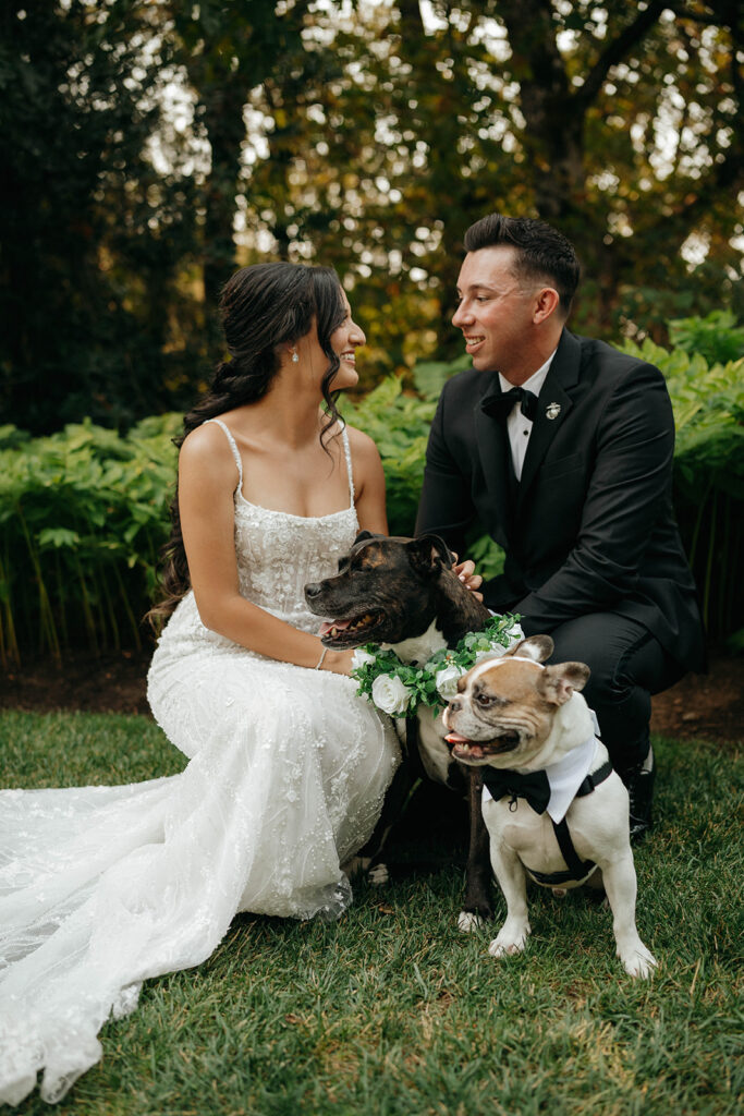 Bride and groom posing with their two dogs