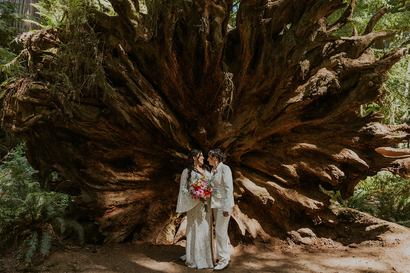 Brides standing in front of giant redwood roots