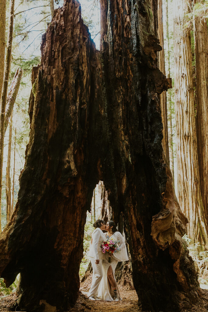 Brides sharing a kiss during redwoods California wedding bridal portraits