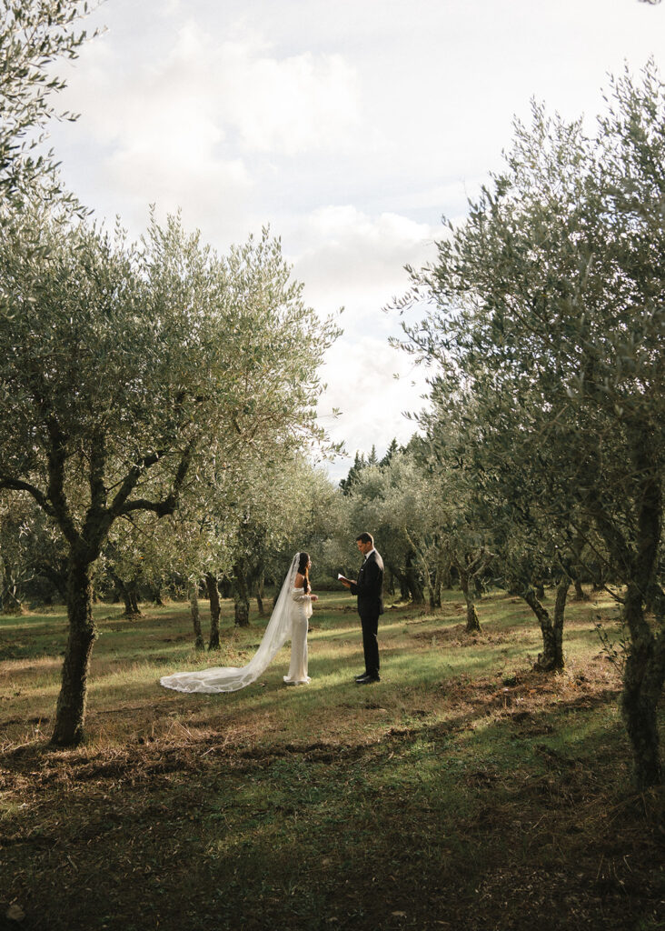 Bride and groom standing in Tuscany, Italy olive grove