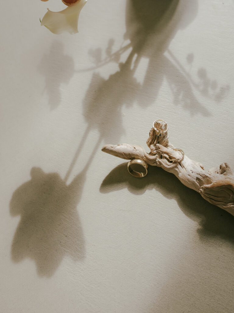 Gold wedding rings arranged on a driftwood branch with soft flower shadows cast on the surface.