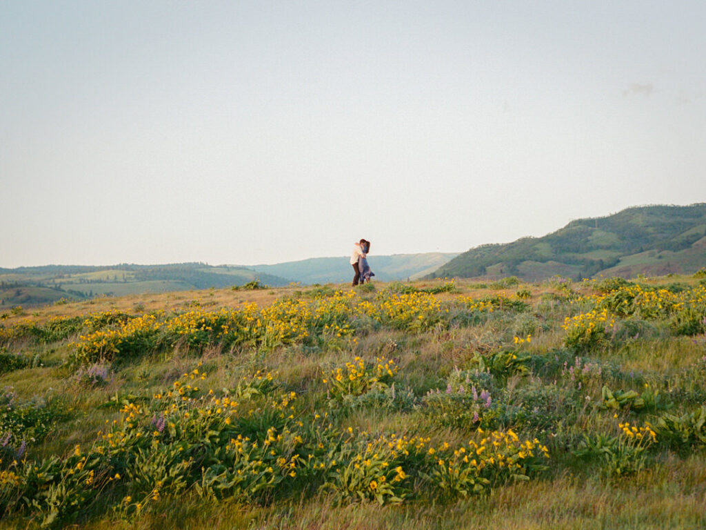 Vast meadow full of yellow and purple blooms at sunset.